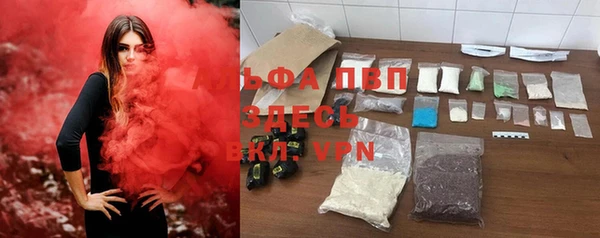 дживик Абаза