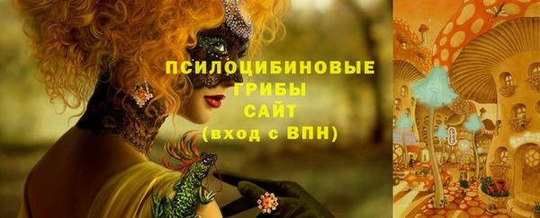 дмт Алзамай