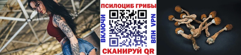 Псилоцибиновые грибы GOLDEN TEACHER  где можно купить наркотик  Октябрьский 